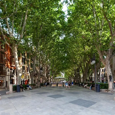 Hotel Nivia Born Boutique Palma de Mallorca